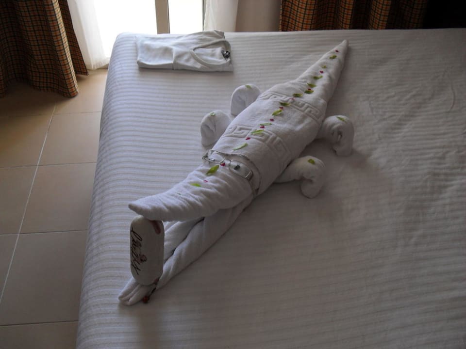 Krokodil auf dem Bett Beach Albatros Resort