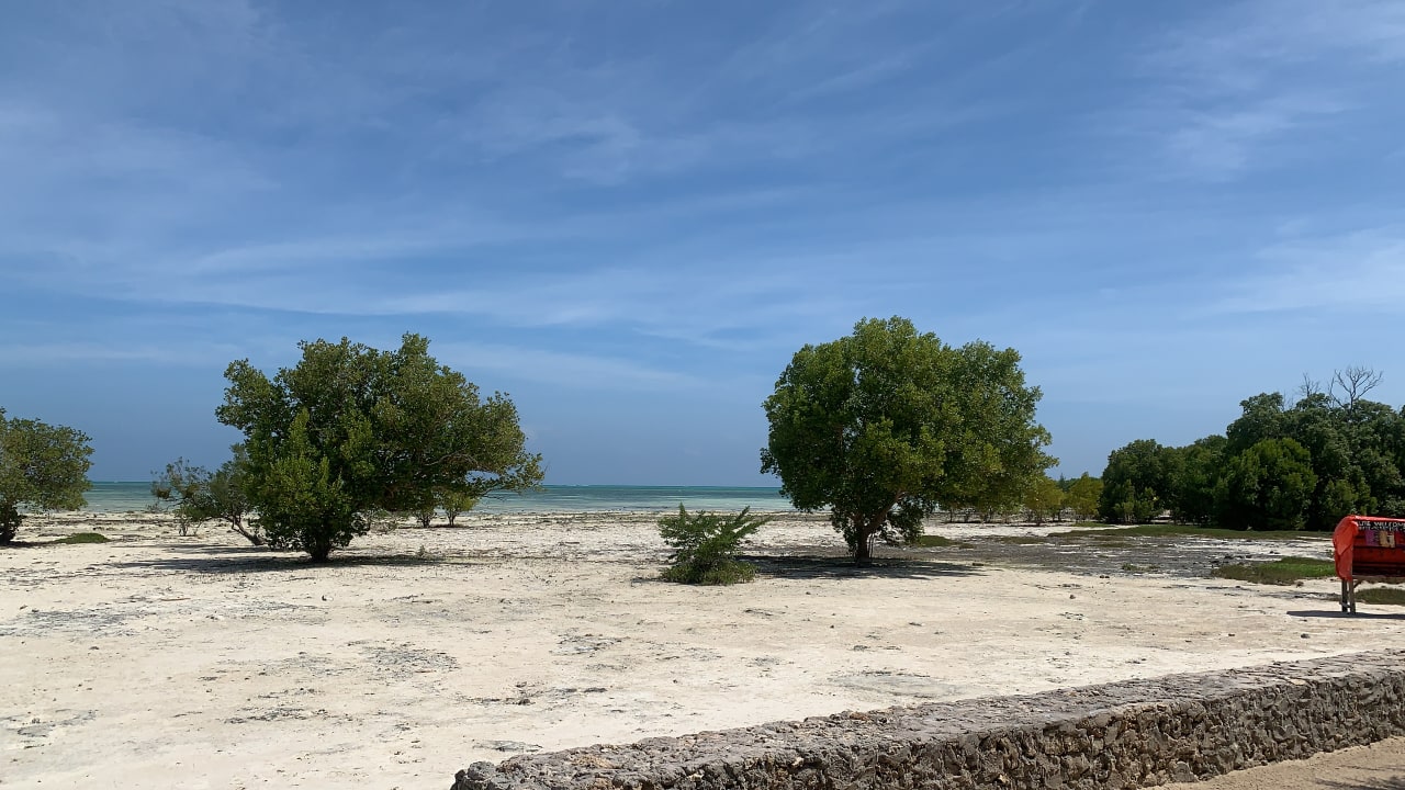 Strand White Paradise Zanzibar