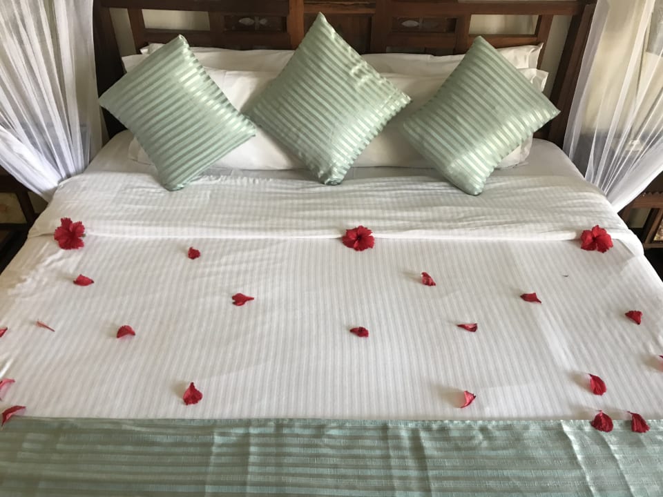 Zimmer Neptune Pwani Beach Resort & Spa