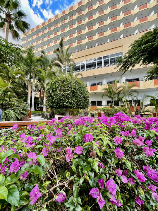 Gartenanlage allsun Hotel Lucana