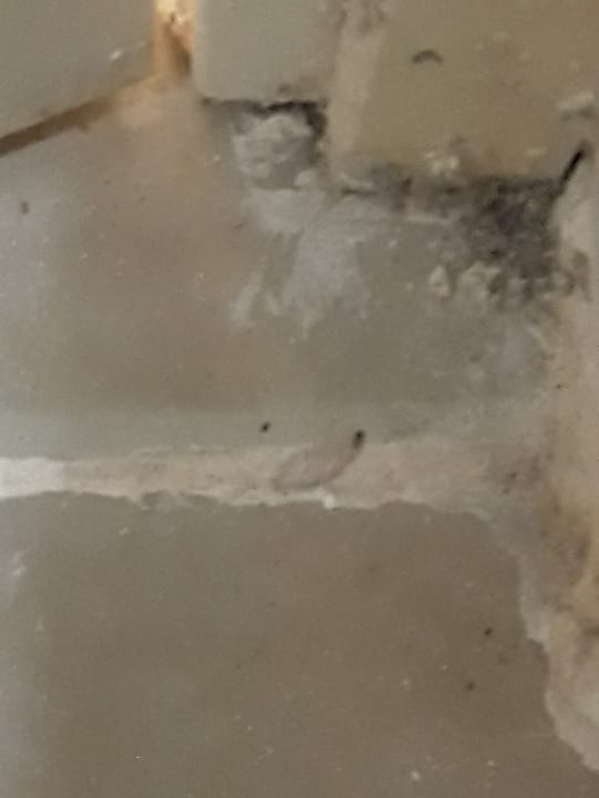 Zimmer Sirenis Tropical Varadero