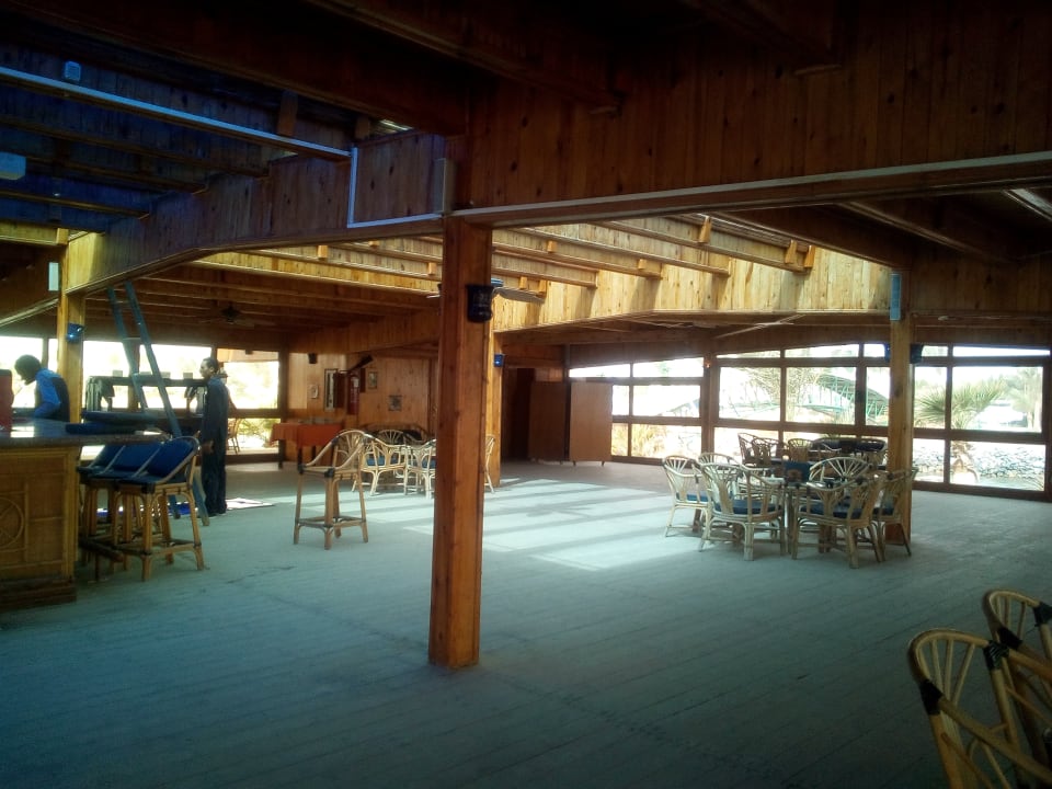 Sonstiges Desert Rose