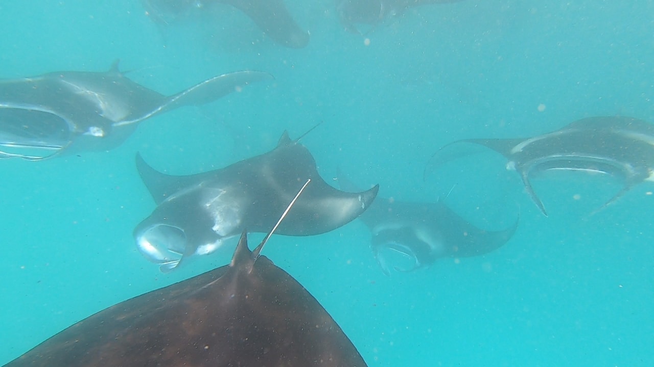 Sport & Freizeit NH Collection Maldives Reethi Resort