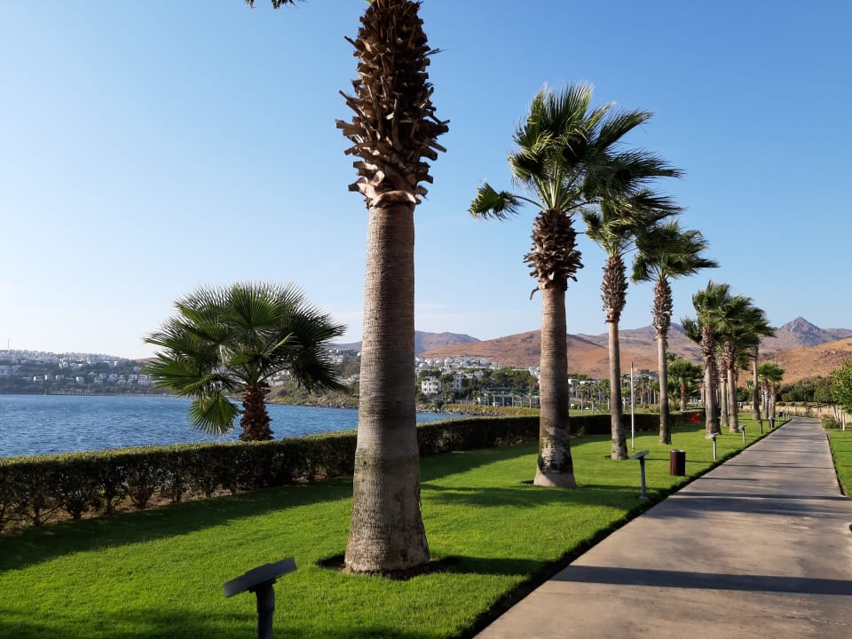 Gartenanlage Xanadu Island Hotel