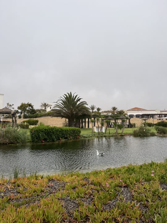 Gartenanlage ROBINSON AGADIR