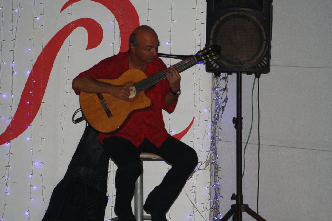 An der Palms Bar Asteria Collection Side