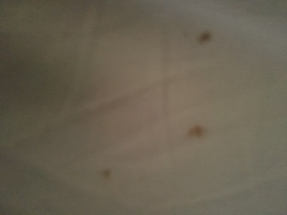 Zimmer Alkoclar Exclusive Alacati