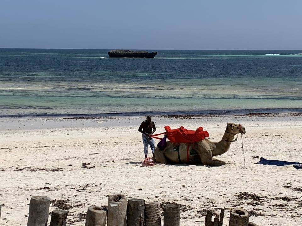 Sport & Freizeit Turtle Bay Beach Club