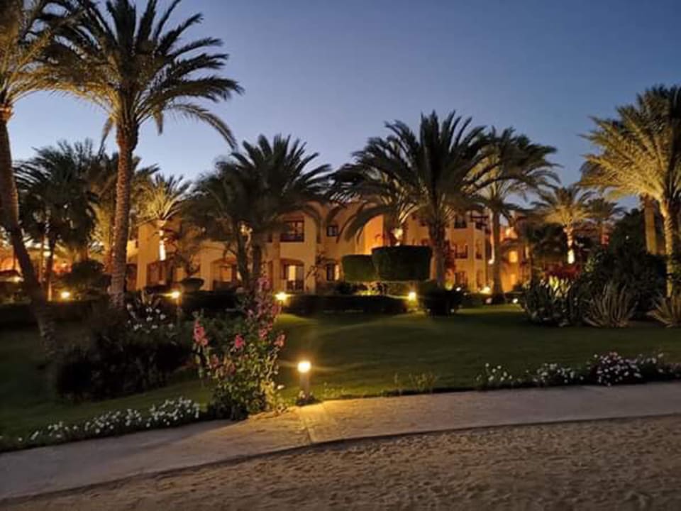 Gartenanlage Steigenberger Coraya Beach - Adults only