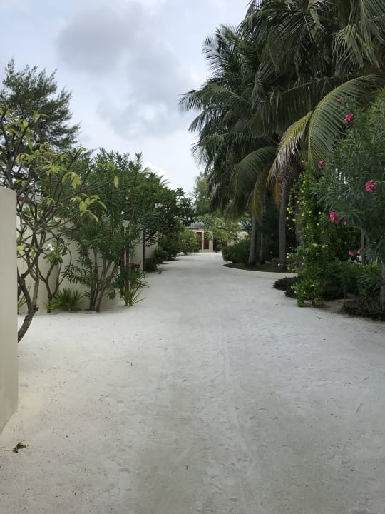 Sonstiges Centara Ras Fushi Resort & Spa Maldives