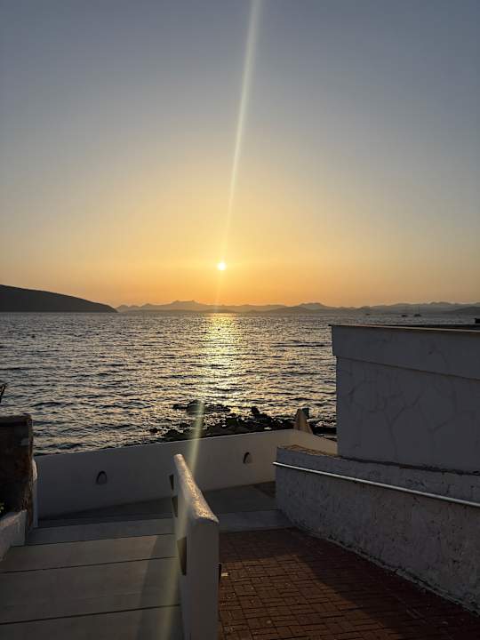 Ausblick TUI MAGIC LIFE Bodrum - Adult Only (16+)