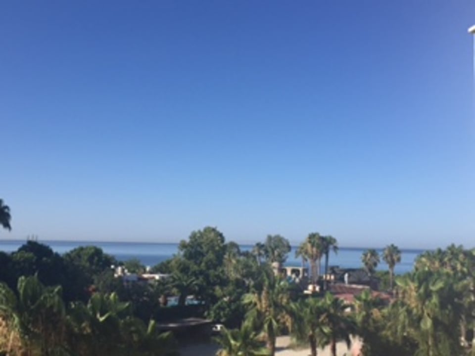 Ausblick Trendy Palm Beach (Adults Only, 16+)