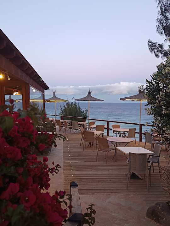 Gastro Marina Playa Suite Hotel