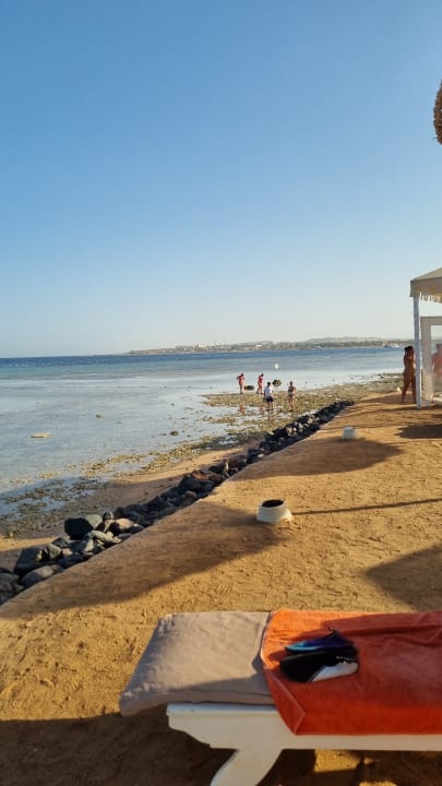 Strand Makadi Spa - Adults only