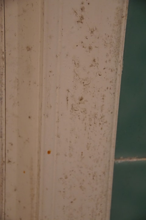 Zimmer Hotel Nesrine