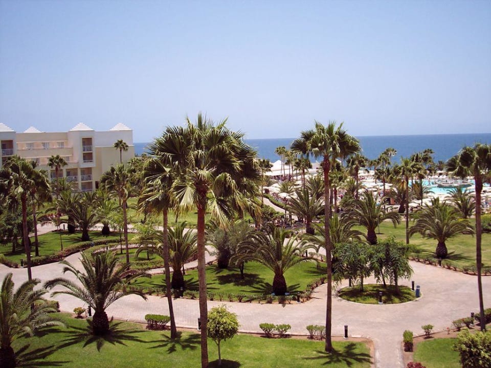 Garten Hotel Riu Gran Canaria