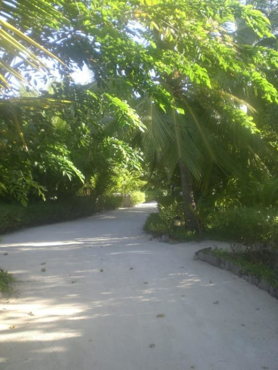 Immer frisch gerecht und sauber Sun Siyam Olhuveli