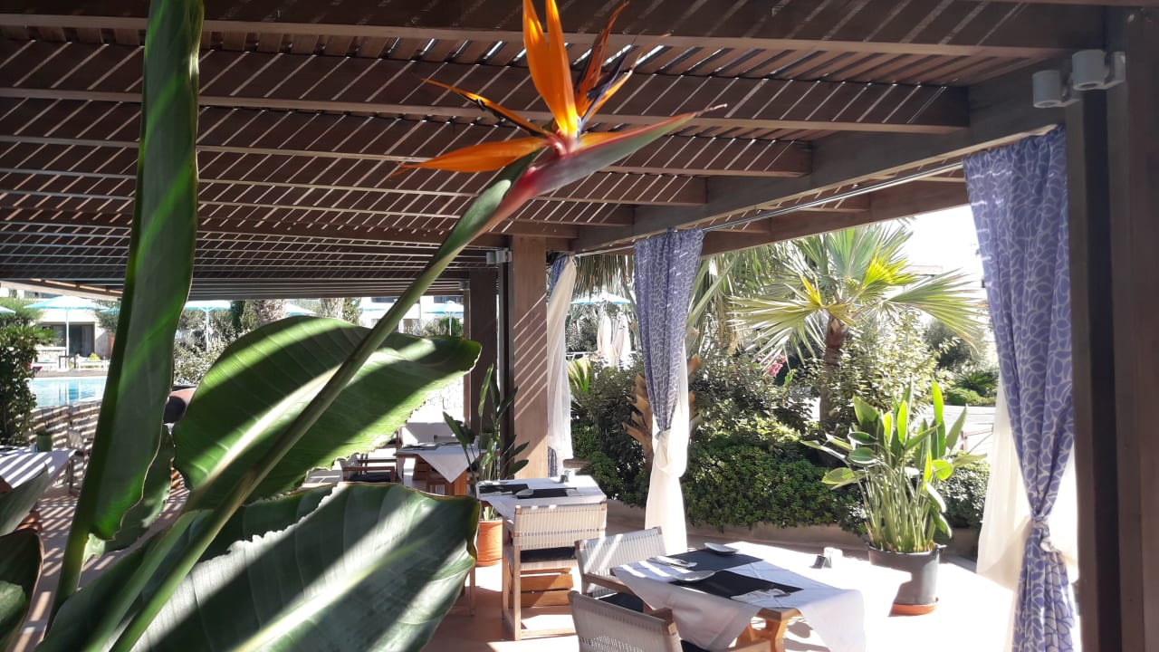 Gastro Aquagrand Artistic Luxury Beach Resort - Adults only