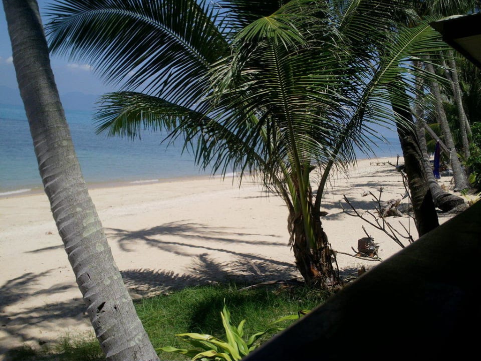 Strand vor dem Haus Coconut Tropicana T 1