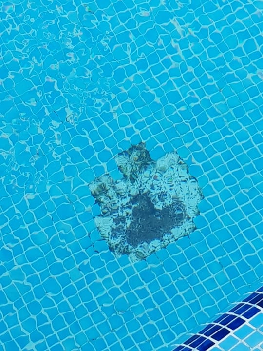 Pool Los Olivos Beach Resort