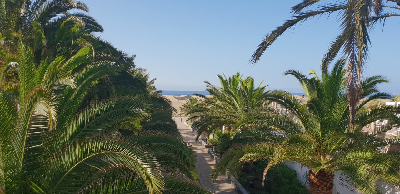 Ausblick Hotel Riu Palace Maspalomas Adults Only