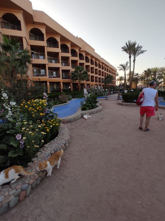 Außenansicht Giftun Azur Resort