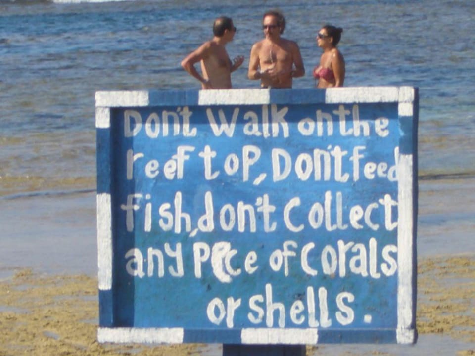 Englisch? Kann ich nicht. Utopia Beach Club