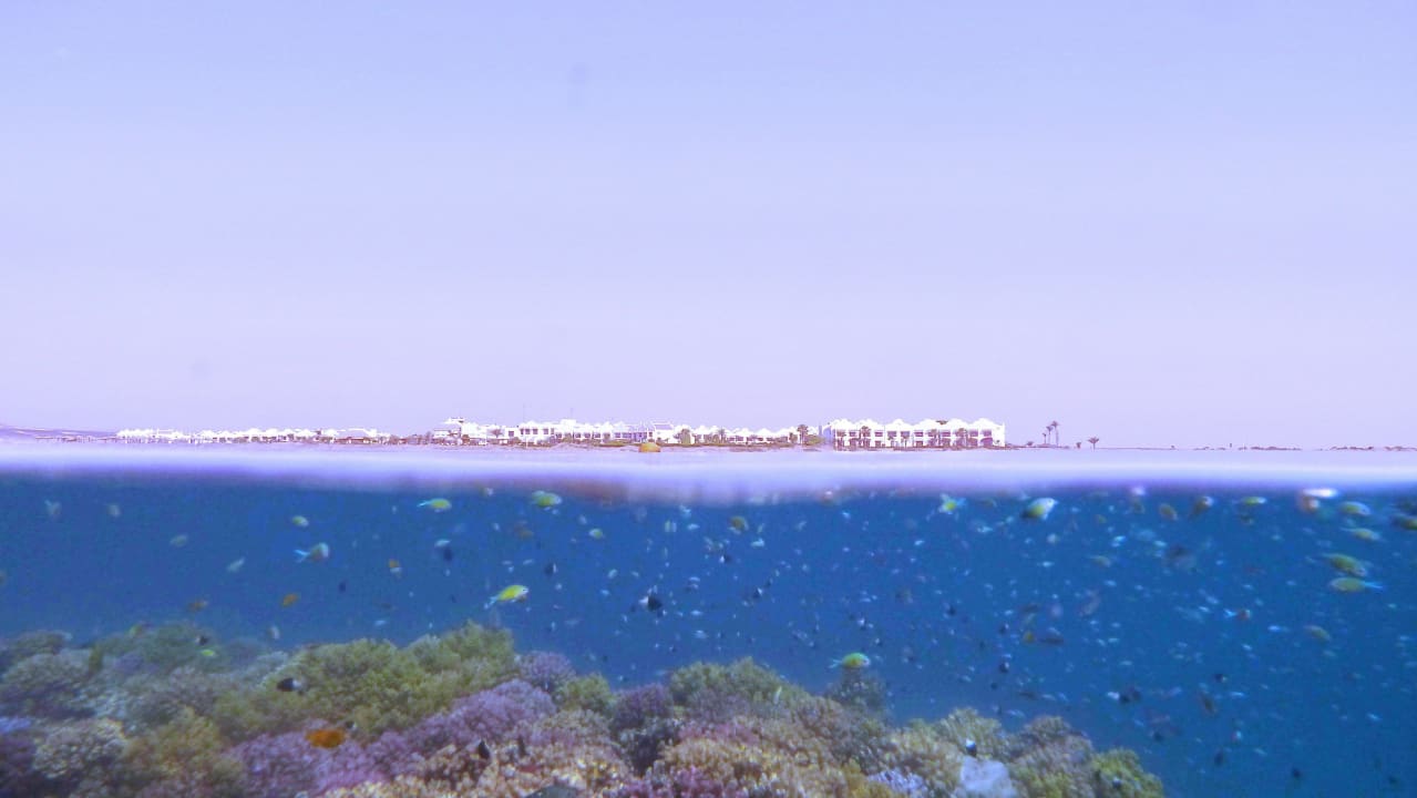 Lahami Über-Unterwasser  Lahami Bay Beach Resort