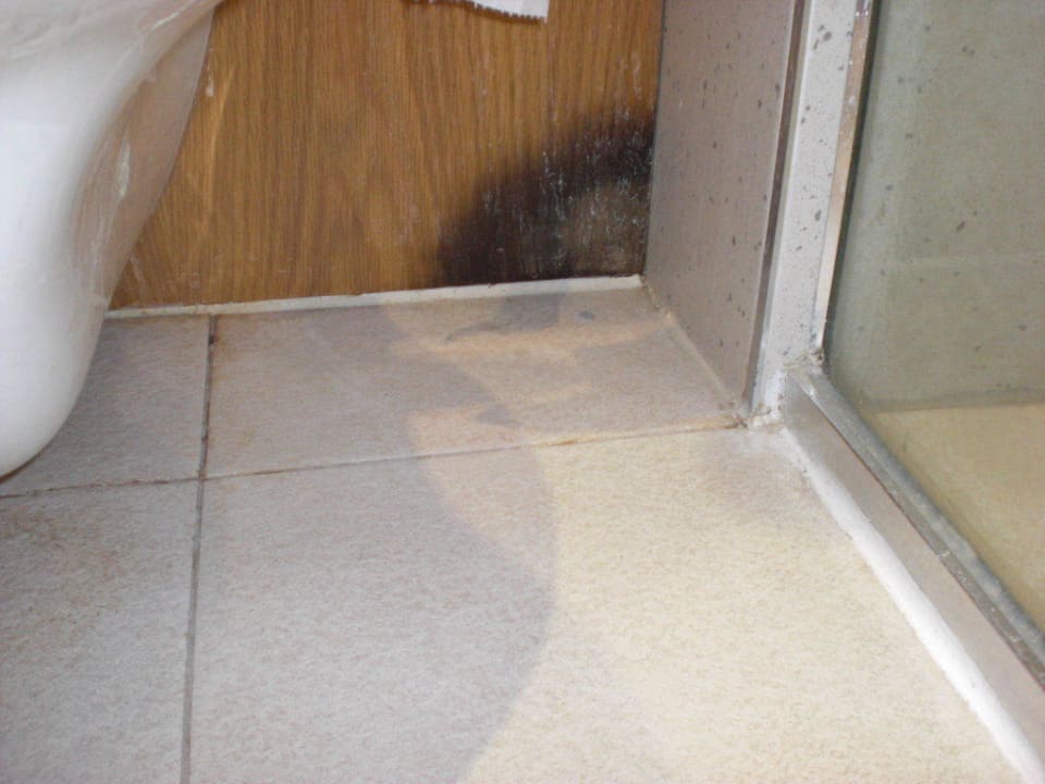 Schimmel Hotel The Continental