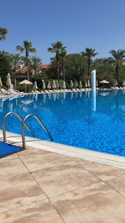 Pool Starlight Resort Hotel