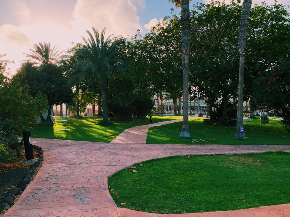 Gartenanlage Aldiana Club Fuerteventura
