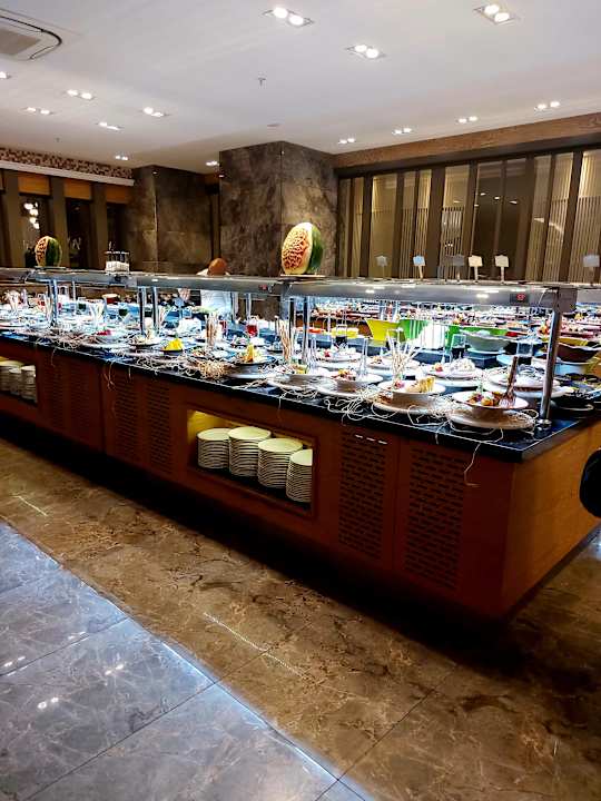 Gastro Seashell Vega