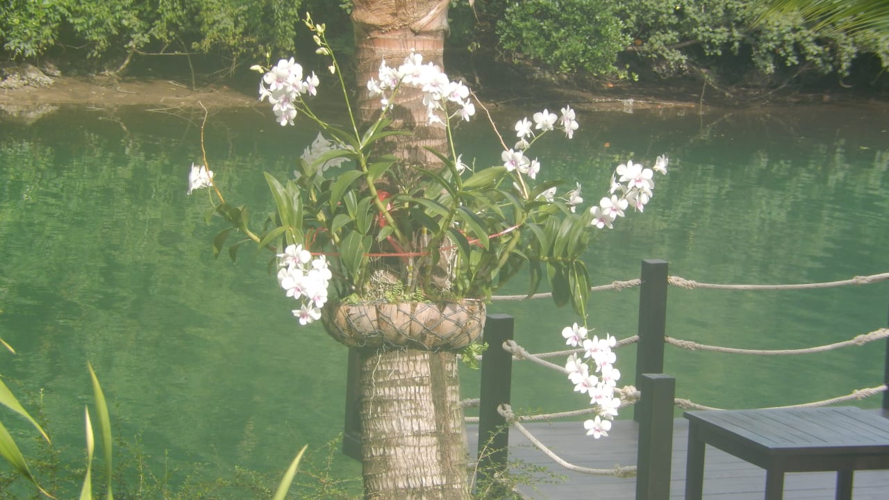 Sonstiges Aana Resort