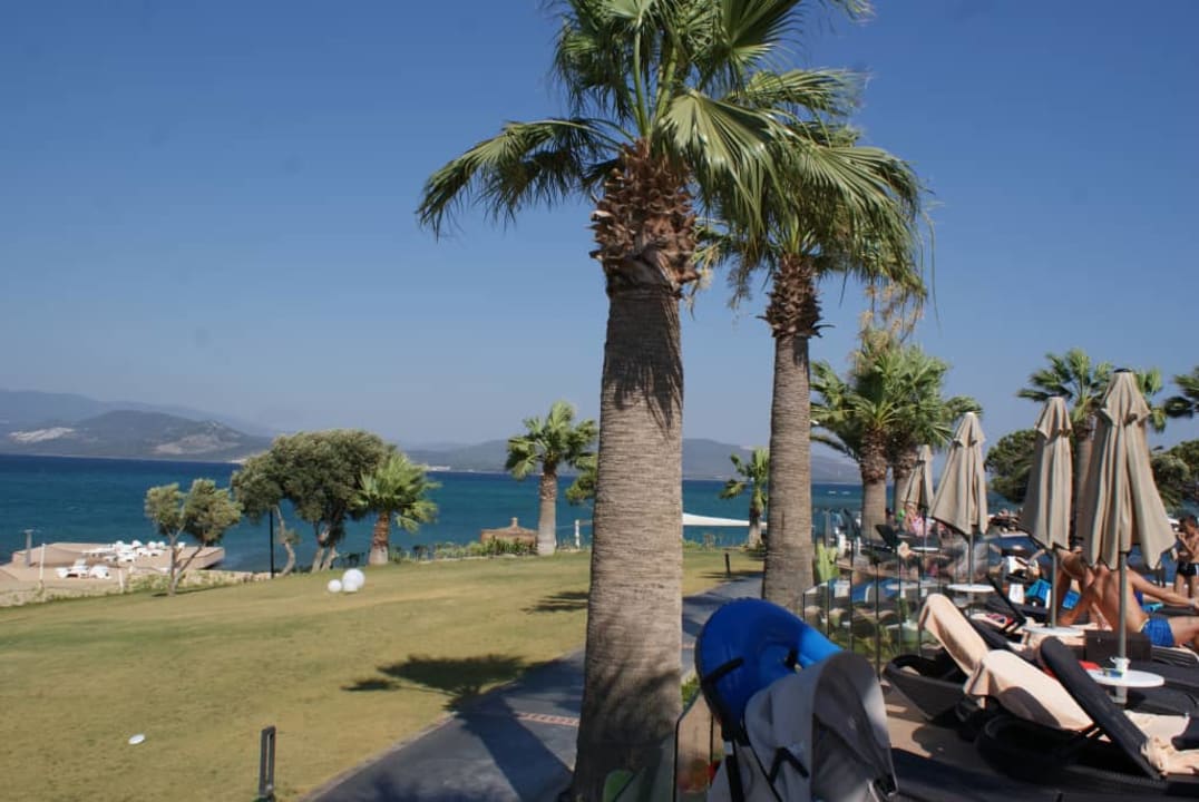 Widok z basenu Duja Didim Hotel