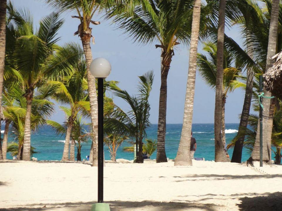 Blick zum Hotelstrand Hotel Riu Bambu