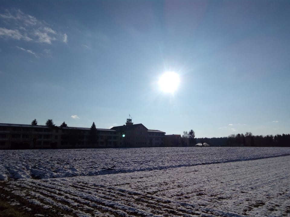 Ausblick Wilfinger Ring Bio Hotel