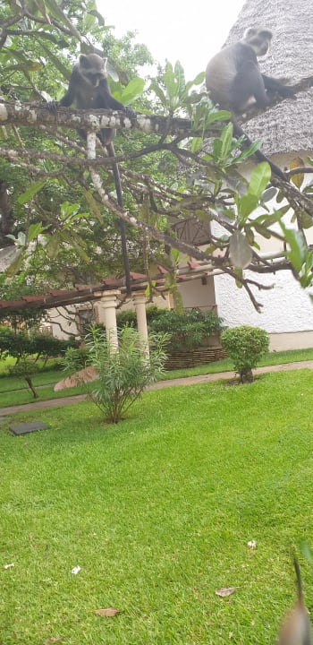 Gartenanlage Neptune Village Beach Resort & Spa