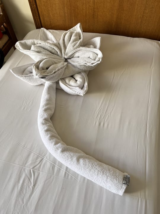 Zimmer Three Corners Equinox Beach Resort