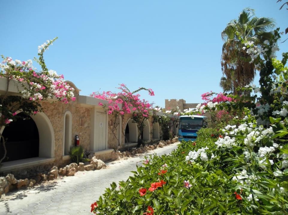 Красота Pickalbatros Citadel Resort