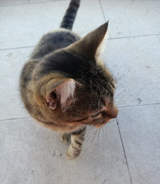 Sonstiges Veya Maradiso Hotel by Aminess