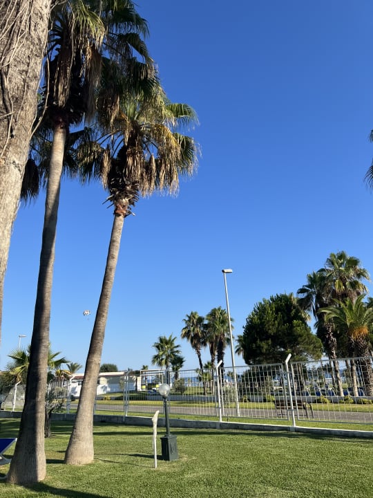 Gartenanlage Süral Saray Hotel