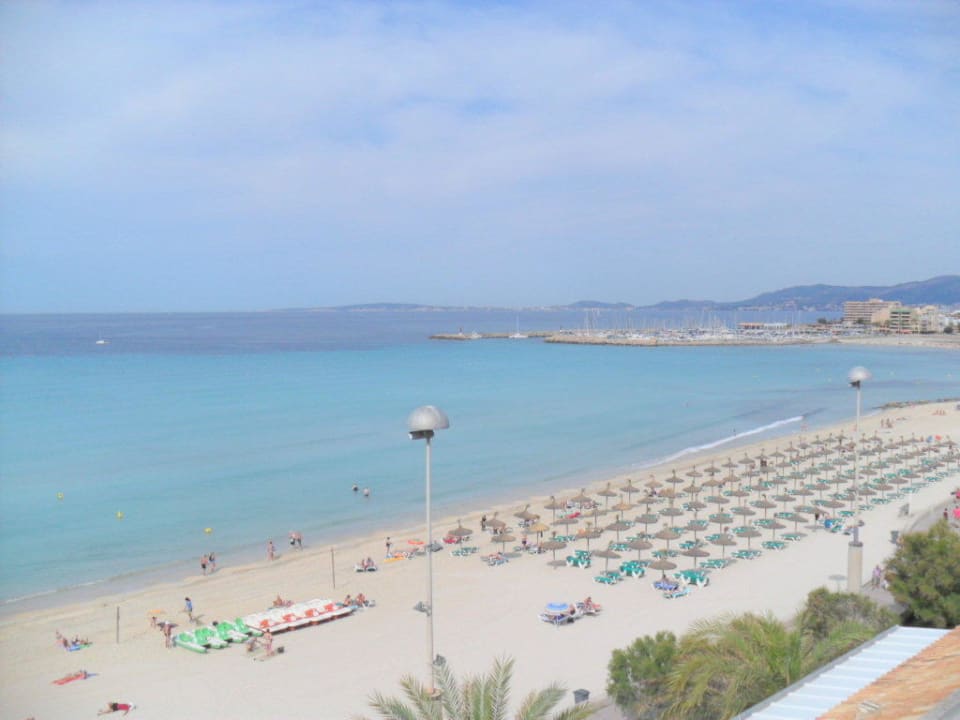 Blick vom Dach Hotel Edén Palma Playa - Adults Only