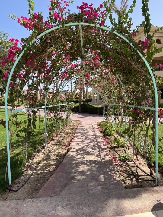 Gartenanlage Cleopatra Luxury Resort Makadi Bay