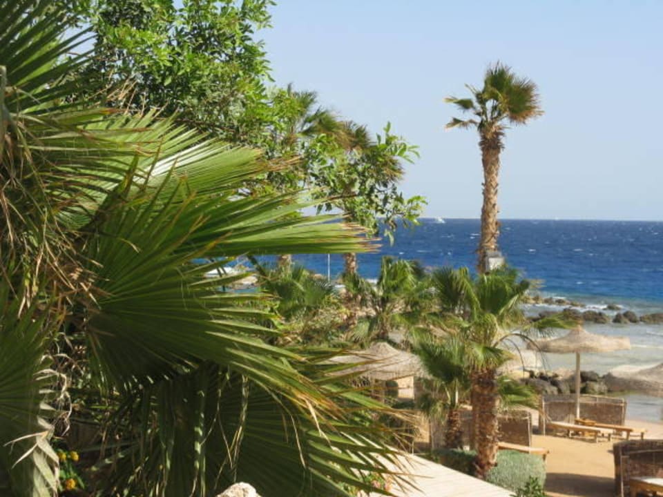 Strandblick Pickalbatros Citadel Resort