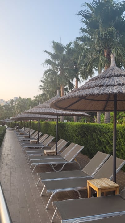 Gartenanlage TUI MAGIC LIFE Bodrum - Adult Only (16+)