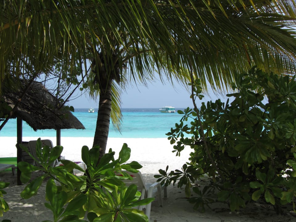 Strand bei den Wasserbungis Summer Island Maldives