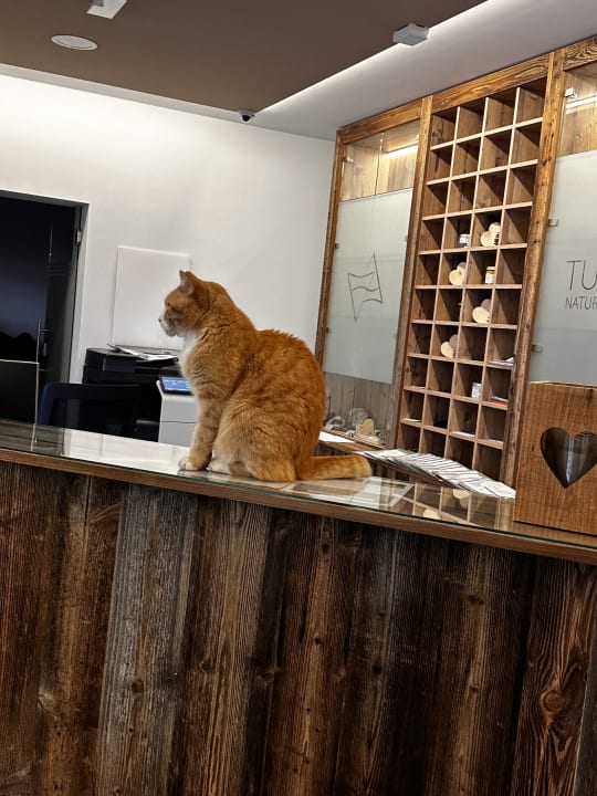 Lobby Tuberis Nature & Spa Resort