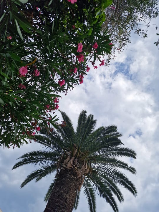 Gartenanlage Elea Beach Hotel