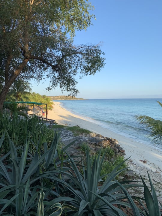 Strand Paradisus Rio de Oro Resort & Spa - Adults only