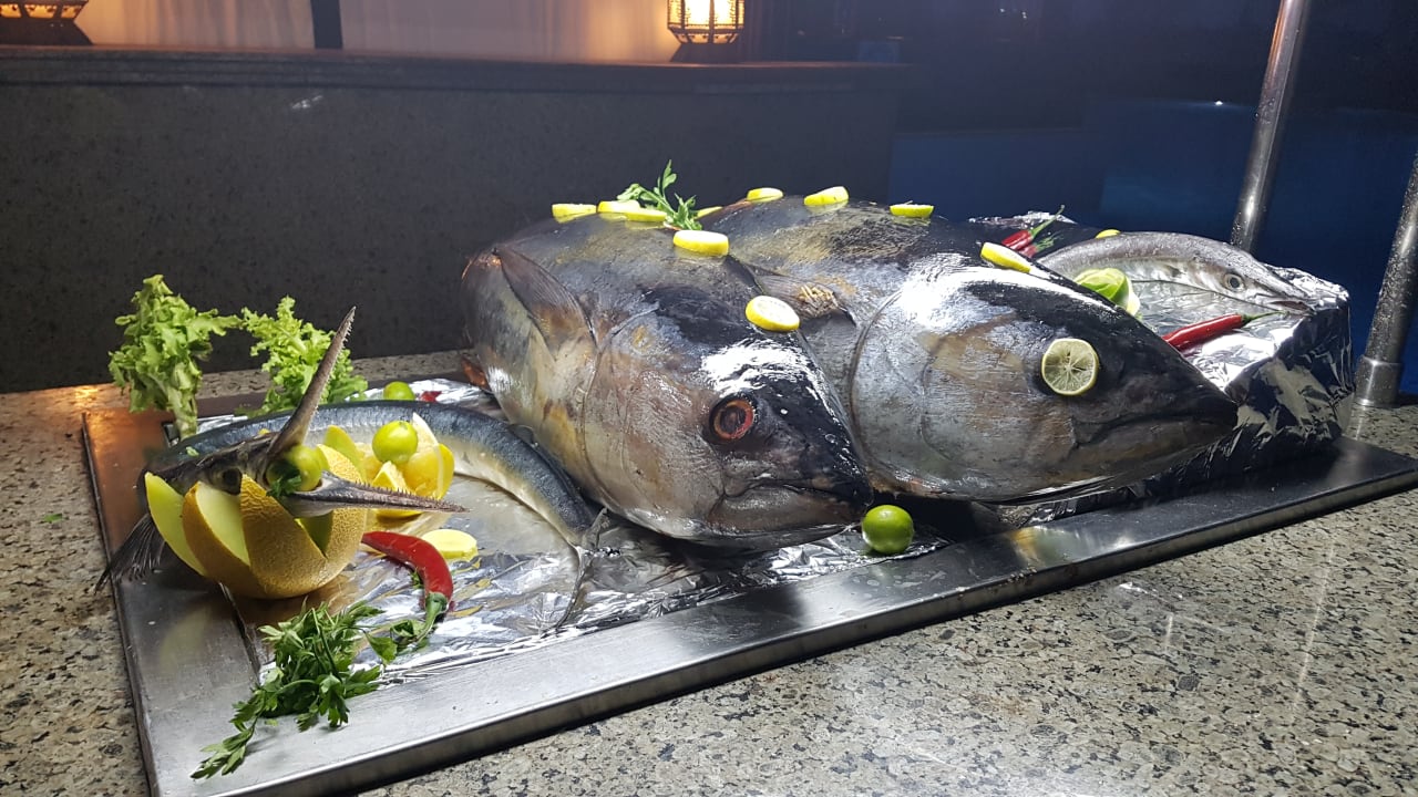 Gastro Jaz Makadina